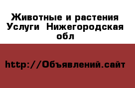 Животные и растения Услуги. Нижегородская обл.